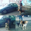 gallery/img-20190125-wa0012